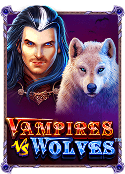 รีวิว pg รับ วอ ล เลท สำหรับนักปั่นตัวจริง